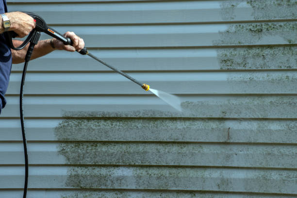 Best Affordable Power Washing  in Sand Point, AK