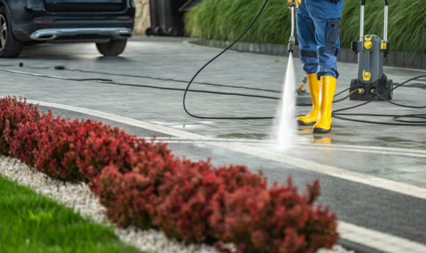 Best Affordable Pressure Washing  in Sand Point, AK