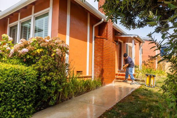 Best Pressure Washing Company Near Me  in Sand Point, AK
